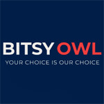 Bitsy Owl