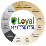 Fly Control Service
