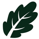 Md Farhan Interior Design House