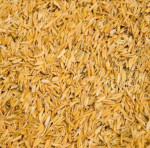 Gainful Amatory Memorable Economical Pvt. Ltd.