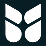 Search Engine Optimization Services