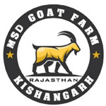 MSD Goat Farm