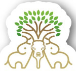 Triple Elephant Corporation Llp