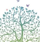 Foxtail Millet Seeds