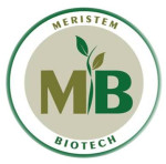 Meristem Biotech