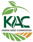 kanpur/kanpur-agro-commodities-kamla-nagar-kanpur-12792125 logo