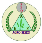 ambedkar-nagar/ambedkar-nagar-agro-krishi-vikas-producer-company-12894063 logo