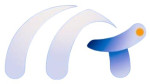 Software Development Service