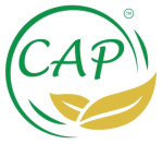 Chanda Ayush Pharmacy