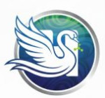 HANS CHEMICALS TRADERS