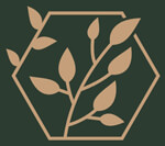 gir-somnath/e-organic-14124718 logo