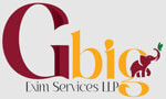 GBIG EXIM SERVICES LLP