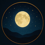 ajmer/chandranishi-organics-14207571 logo