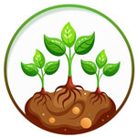 purnia/darshita-agro-industries-14523122 logo