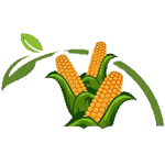 nandurbar/pancholi-agro-industries-india-private-limited-14552186 logo