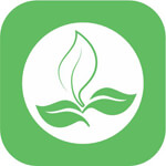 SHREE SHYAM ENTERPRISES