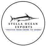 STELLA OCEAN EXPORTS