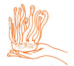 sirsa/kesari-agro-foods-14918722 logo