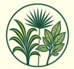 north-24-parganas/aheli-nursery-15249699 logo