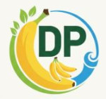 pune/dp-impex-15254547 logo