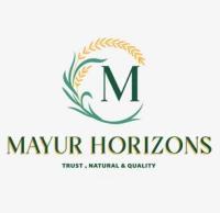 dhule/mayur-horizons-15398277 logo