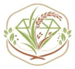 budaun/diamond-global-export-15503218 logo
