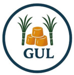 Famous Rankai Jaggery