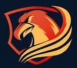 agra/s-k-fashion-world-15651033 logo