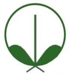 Compost Fast Microbial Culture Powder