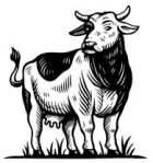 bhagalpur/gaushakti-products-15781641 logo