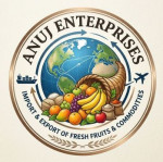 nanded/anuj-enterprises-16058160 logo