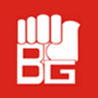 Bedmutha Industries Limited