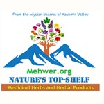 Agro Food Processing Emporium