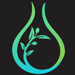 kannauj/kalishankar-export-3542444 logo