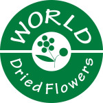 World Dried Flowers