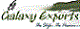 Galaxy Exports