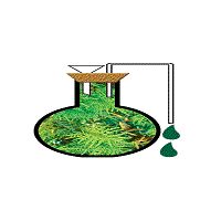 Rishiraj Ayurvedashram