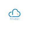 BluePi Consulting Pvt. Ltd.