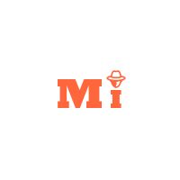 Matrimonial Investigators