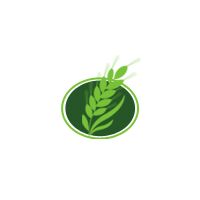 Frozen Whole Chicken