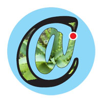 Anant International Corporation