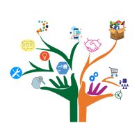 Market Research Data Collection Services