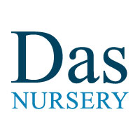Das Nursery