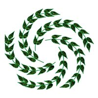 Indian Agro Products