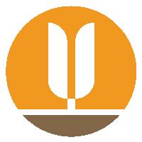 Vita Sana Foods Private Limited