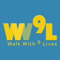 shillong/walk-with-nine-lives-laitumkhrah-shillong-5913318 logo
