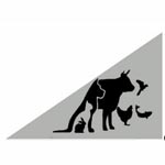 Cattle Feed Additives