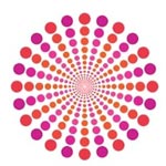 Your Perfect Destination Travel Pvt Ltd