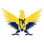 E Commerce Website Design