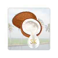 Shree Krishna Oil Industries